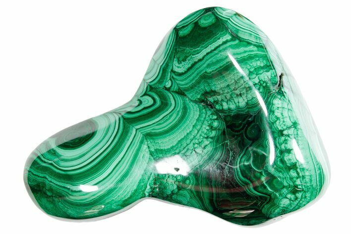 Flowery Polished Malachite Specimen - DR Congo #360810